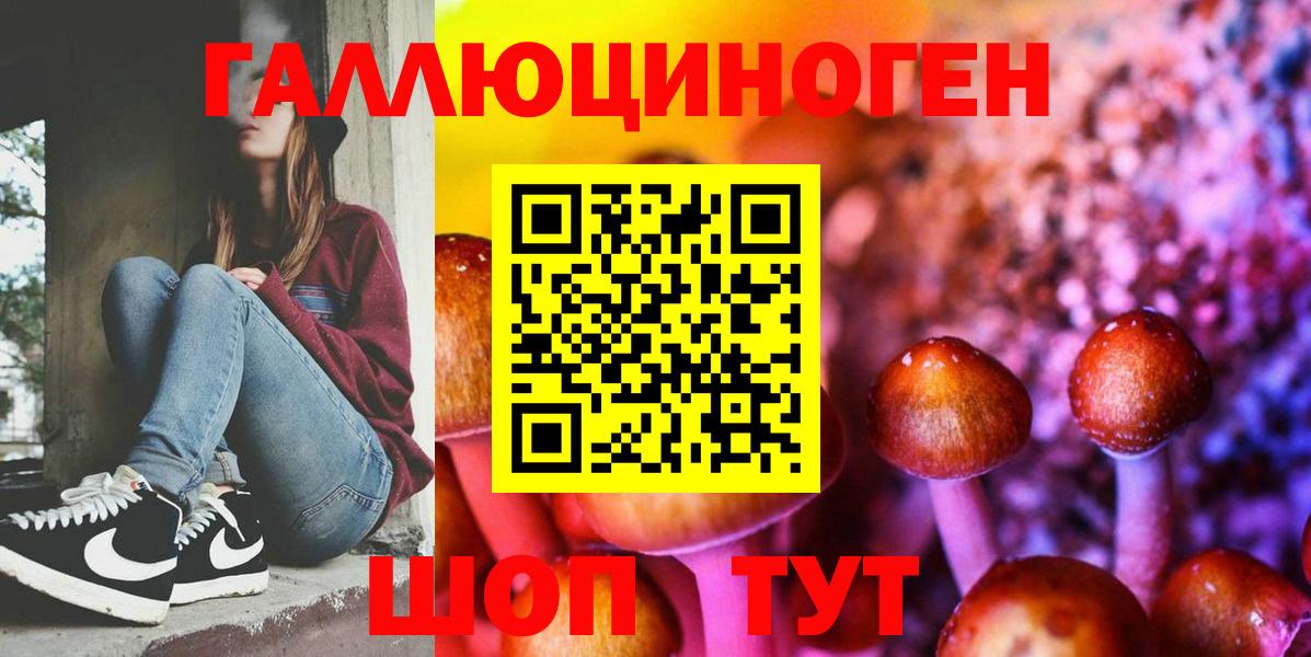 Галлюциногенные грибы Psilocybe  Вход с VPN  Ярцево 